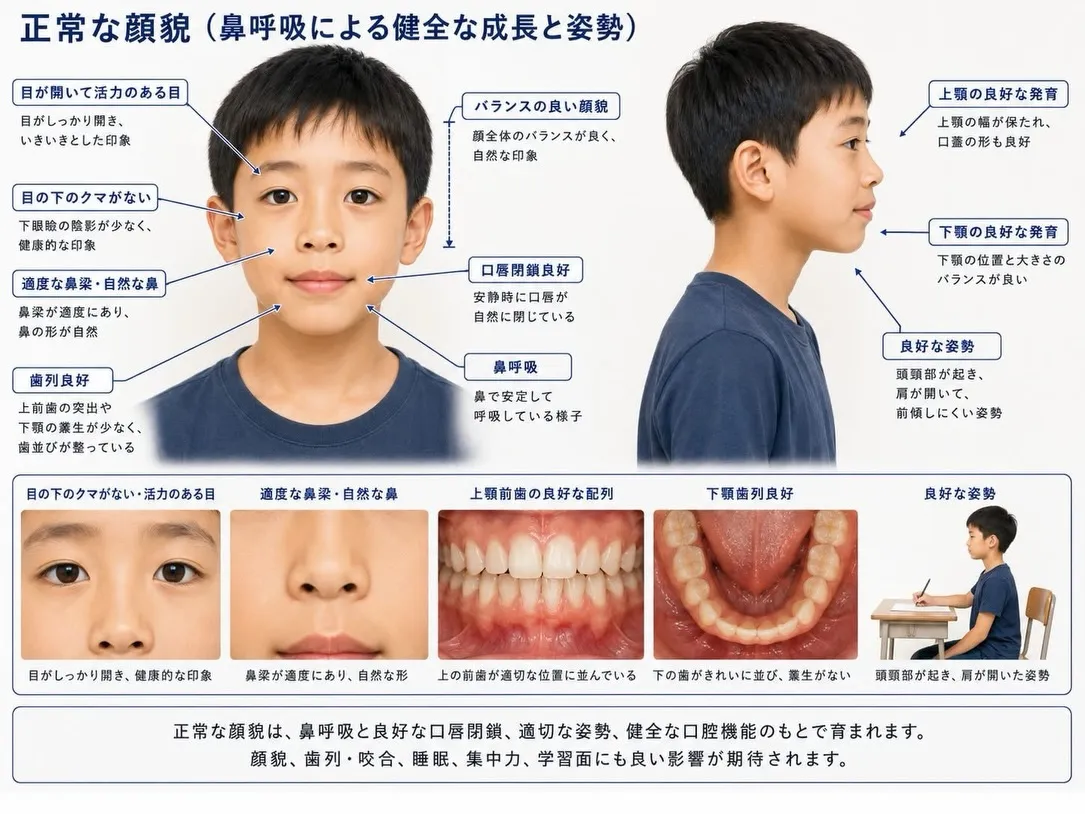 Stop the 『口呼吸』💋